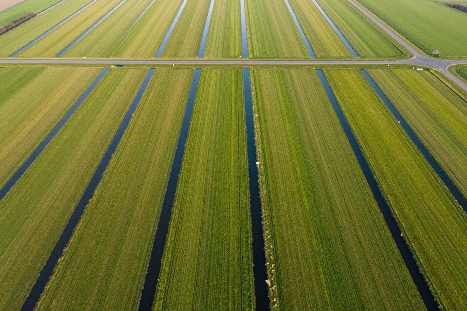 Luchtfoto van een Nederlandse polder: rechte groene percelen gescheiden door sloten